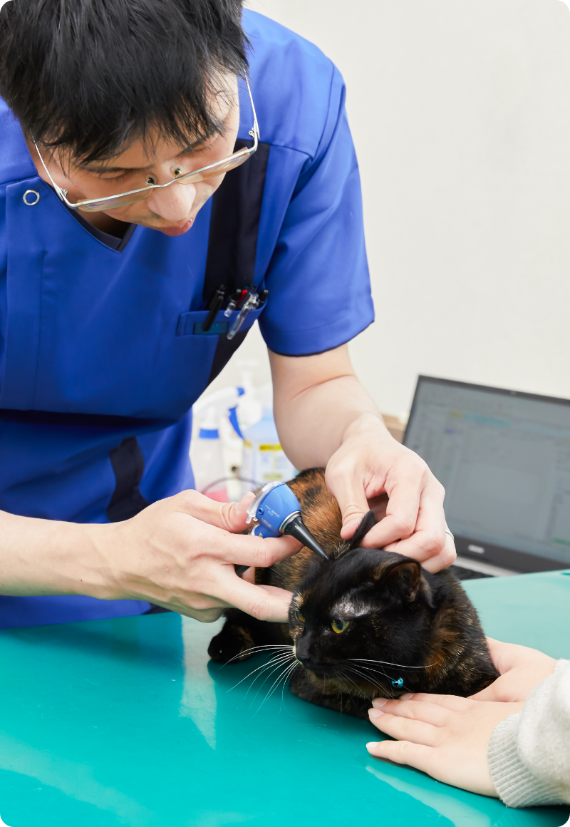 定期的な健康診断によって、動物の末永い健康維持をサポートします。